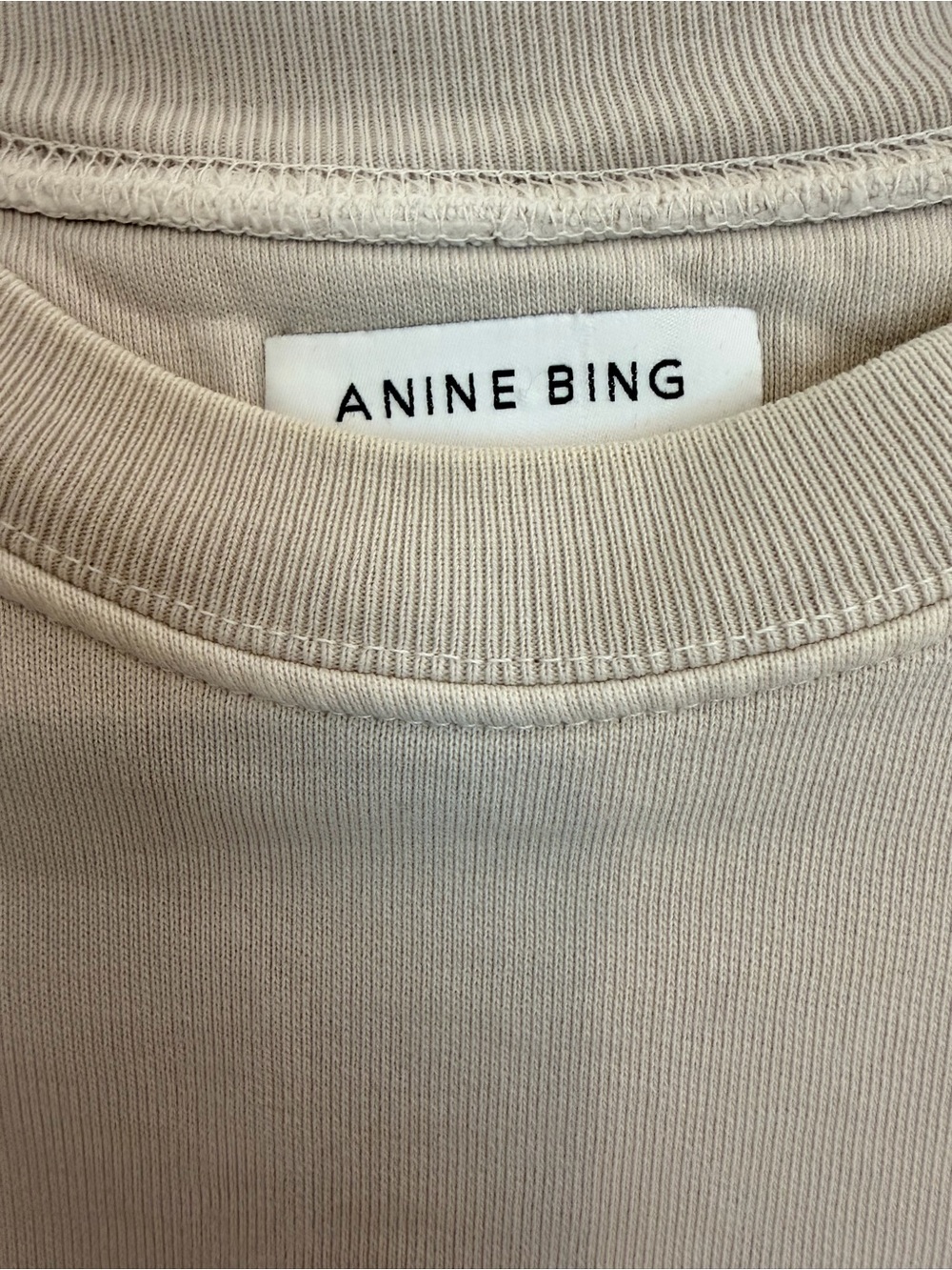 Anine Bing Beige Crewneck Sweatshirt with Tiger Graphic and Green Lettering - Picture 2 of 5